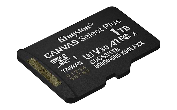 Фото - Карта памяти Kingston 1TB microSDXC Canvas Select Plus Gen 3 (SDCS3/1TBSP)