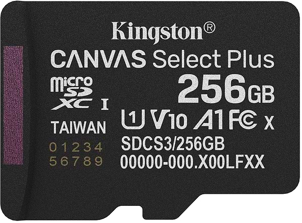 Фото - Карта памяти Kingston 256GB microSDXC Canvas Select Plus Gen3 (SDCS3/256GBSP)