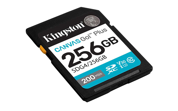 Фото - Карта памяти Kingston SDXC 256GB Canvas Go! Plus G4 Class 10 UHS-I U3 V30 (SDG4/256GB)