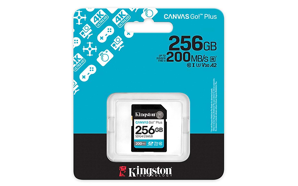 Фото - Карта памяти Kingston SDXC 256GB Canvas Go! Plus G4 Class 10 UHS-I U3 V30 (SDG4/256GB)