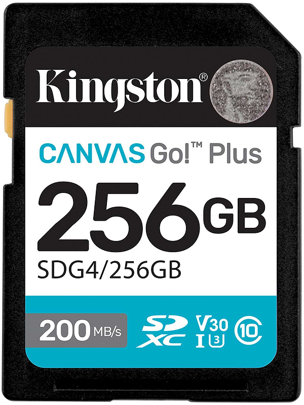 Фото - Карта памяти Kingston SDXC 256GB Canvas Go! Plus G4 Class 10 UHS-I U3 V30 (SDG4/256GB)