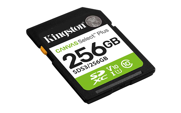 Фото - Карта пам'яті Kingston 256GB SDXC Canvas Select Plus Gen3 (SDS3/256GB)