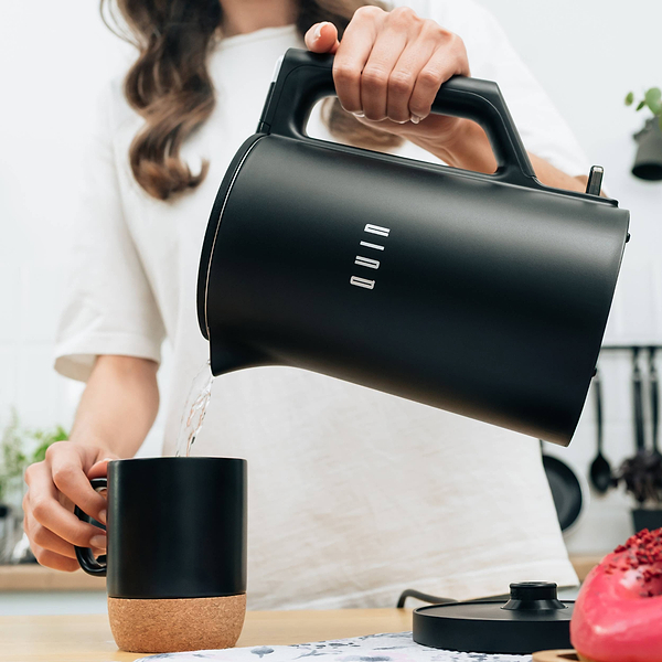 Фото - Электрический чайник QUIN KTL-101 Black