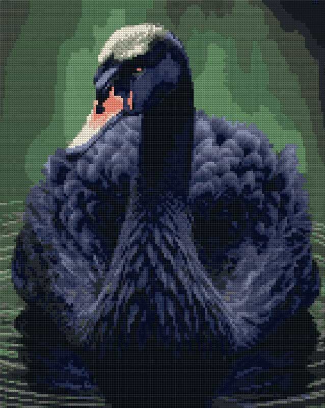 Алмазний живопис Santi Чорний лебідь 40x50см на підрамнику (954525) - Фото 1