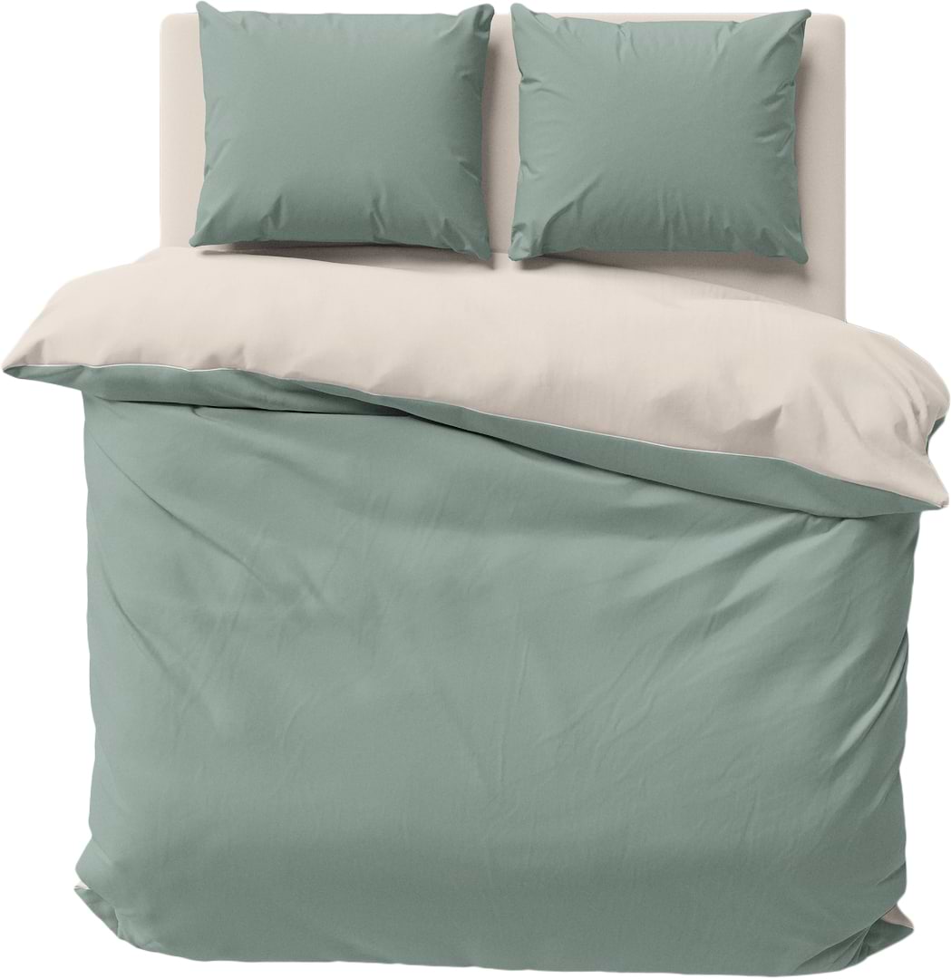 Комплект постільної білизни Lelit Полісатин Р-0210 полуторний (1200248)