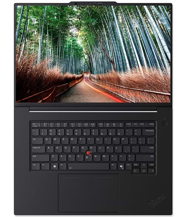 Фото - Ноутбук Lenovo ThinkPad T1g Gen 8 (21TD0002RA) Black
