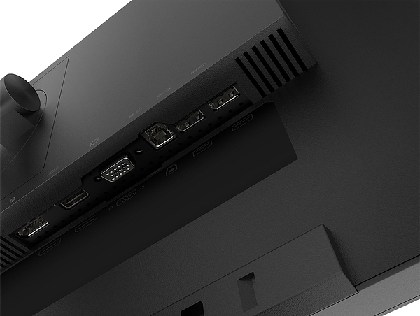 Фото - Монітор Lenovo ThinkVision T24i-2L (62B0MAT2UA)