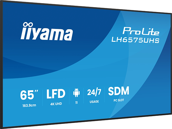 Фото - Интерактивная панель IIYAMA LH6575UHS-B2AG