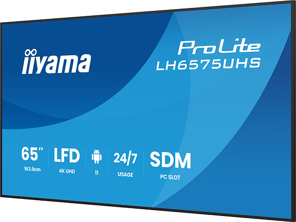 Фото - Интерактивная панель IIYAMA LH6575UHS-B2AG