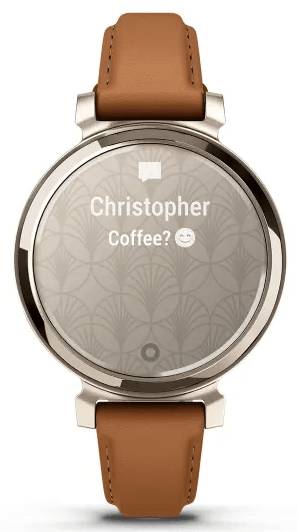 Фото - Смарт-часы Garmin Lily 2 Classic, Cream Gold/Tan (010-02839-02)