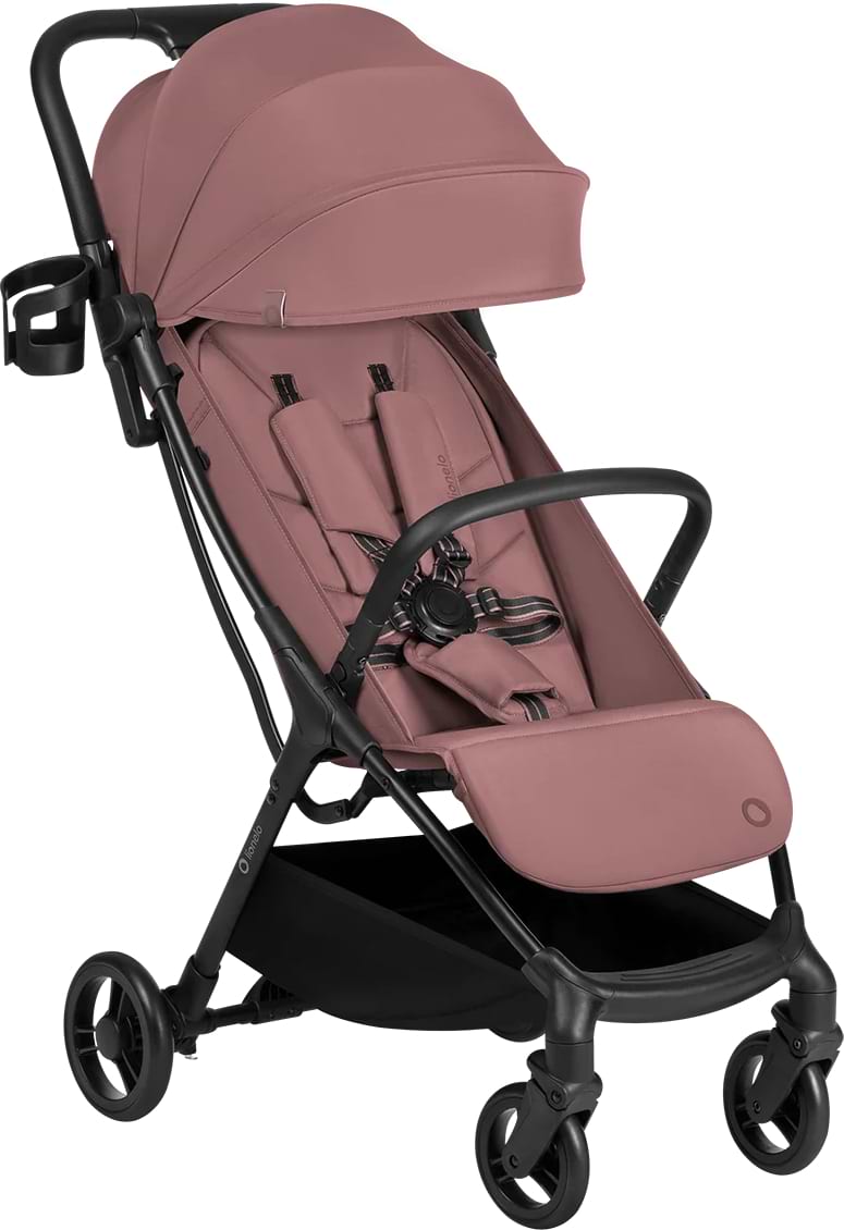 Коляска прогулочная Lionelo AGIA PINK MUAVE