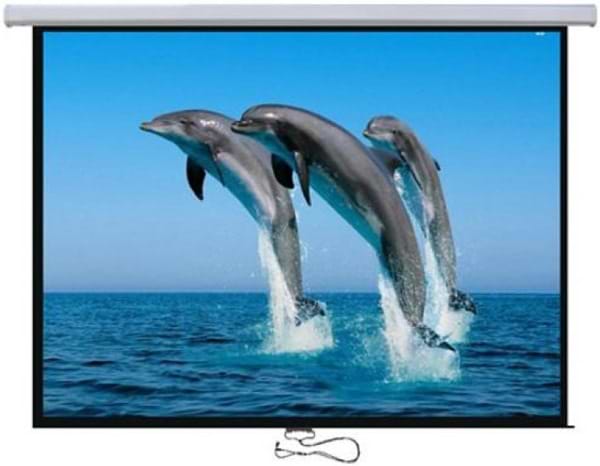 Фото - Экран настенный ручной Logan PRMC5