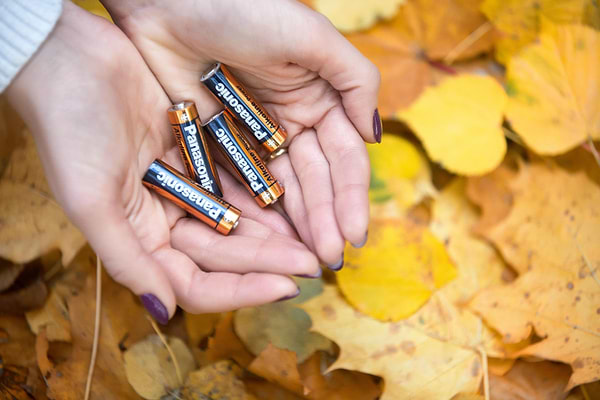 Фото - Батарейка тип AA Panasonic ALKALINE POWER AA BLI 2 (LR6REB/2BP)