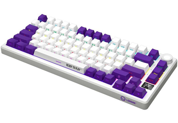 Фото - Клавіатура бездротова ігрова Lorgar KBP7075W Wireless Gaming Mechanical Pro White (LRG-KBP7075W-WH-US)