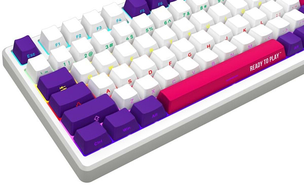 Фото - Клавіатура бездротова ігрова Lorgar KBP7075W Wireless Gaming Mechanical Pro White (LRG-KBP7075W-WH-US)