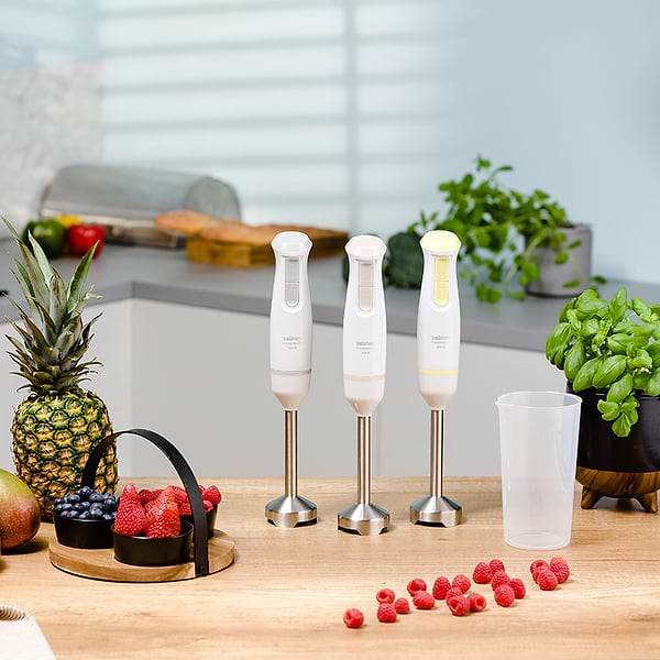 Фото - Блендер погружной Zelmer ZHB4561L