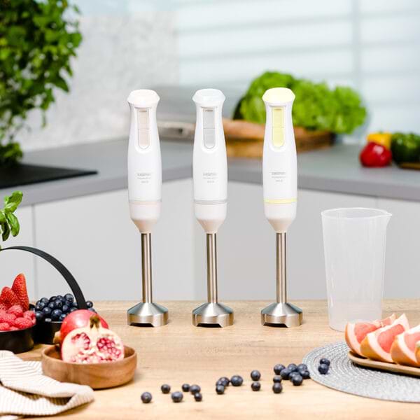 Фото - Блендер погружной Zelmer ZHB4561L