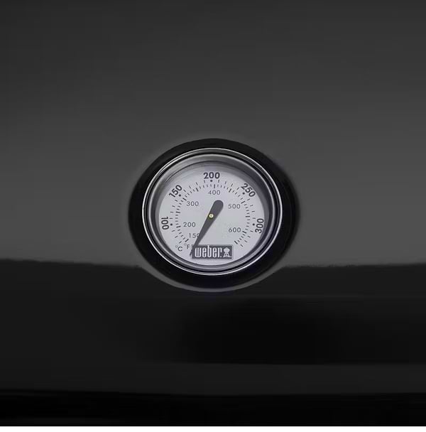 Фото - Гриль-барбекю електричний Weber Lumin 2000 з підставкою, Black (92010879)