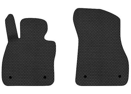 EVA килимки в салон авто передні EVAtech для 1 Series (F40) BMW 2019 3 покоління Htb EU (BM43176A2BW4RBB)