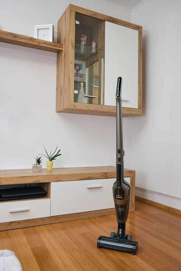 Фото - Пилосос ручний для дому Gorenje SVC288191FSIIGO