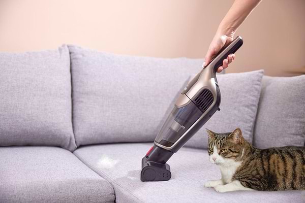 Фото - Пилосос ручний для дому Gorenje SVC288191FSIIGO