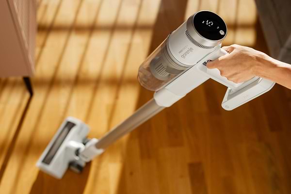 Фото - Пилосос ручний для дому Gorenje SVC216210FFIIW