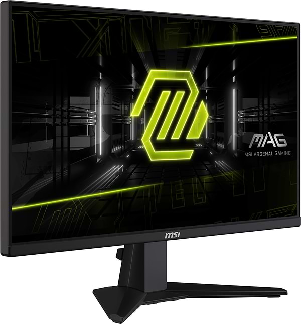 Фото - Монитор игровой MSI MAG 255F E20