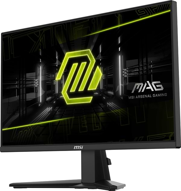 Фото - Монитор игровой MSI MAG 255F E20
