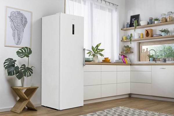 Фото - Морозильна камера Gorenje FNP619EAW6L