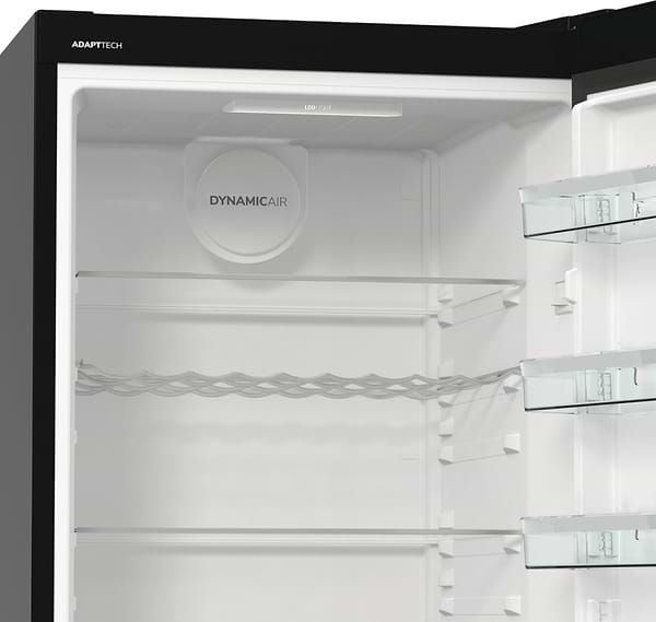 Фото - Холодильник Gorenje R619EABK6