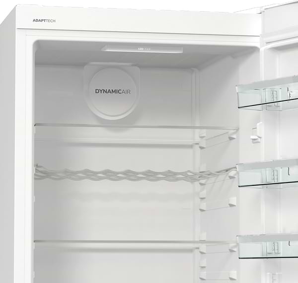 Фото - Холодильник Gorenje R619EAW6
