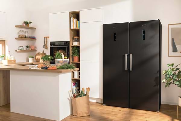 Фото - Холодильник Gorenje R619EABK6
