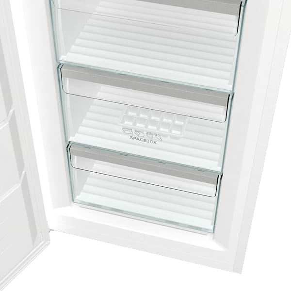 Фото - Морозильна камера Gorenje FNP619EAW6L