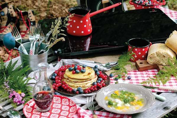 Фото - Плита электрическая настольная Gorenje ICE 3500 DP