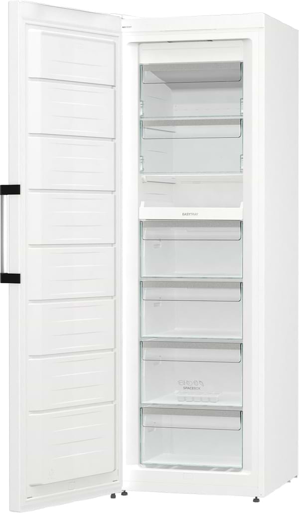 Фото - Морозильна камера Gorenje FNP619EAW6L