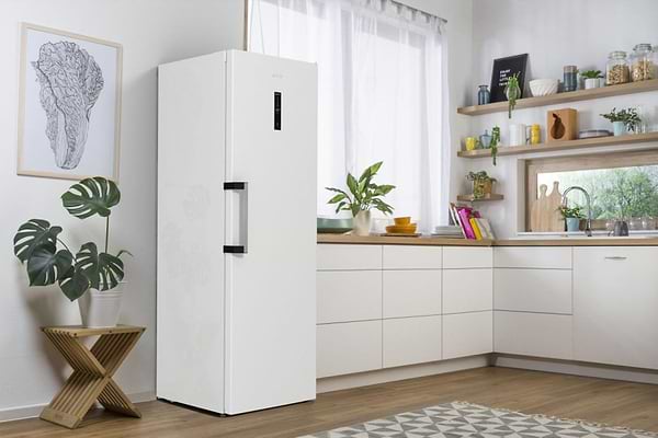 Фото - Уценка - Морозильная камера Gorenje FN619EAW6