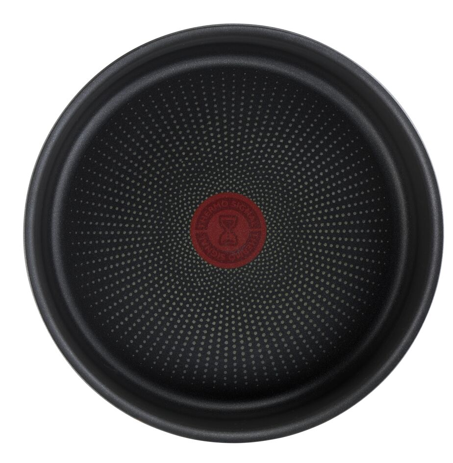 Фото - Набор посуды со съемной ручкой Tefal L7629142  Ingenio Daily Chef 10 пр