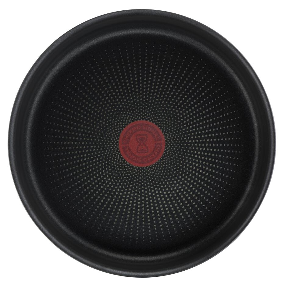 Фото - Набор посуды со съемной ручкой Tefal L7629142  Ingenio Daily Chef 10 пр