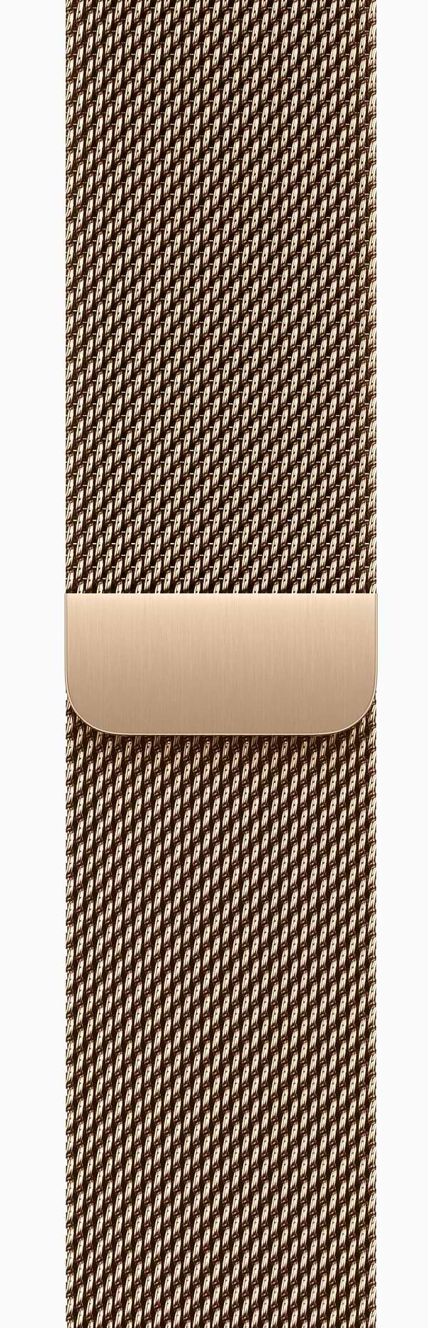 Фото - Смарт-годинник Apple Watch Series 11 GPS + eSIM 42mm Gold Titanium Case with Gold Milanese Loop