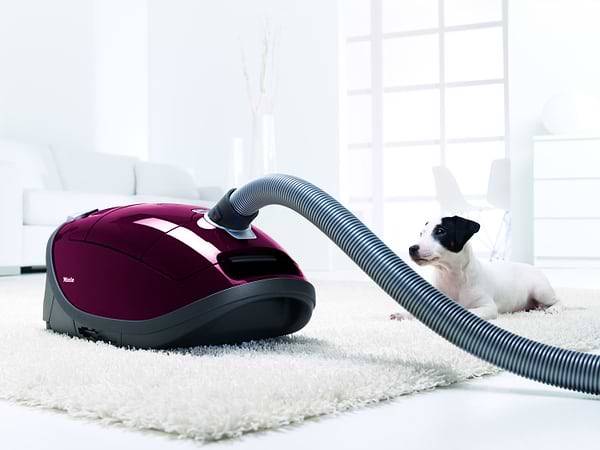 Фото - Пилосос для сухого прибирання з мішком Miele SGEF3 BRRT (cat/dog)