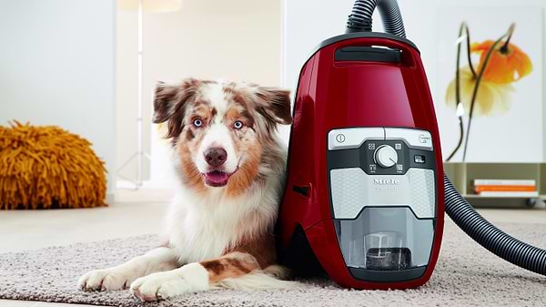 Фото - Пилосос для сухого прибирання без мішка Miele SKRF3 Blizzard CX1 MART