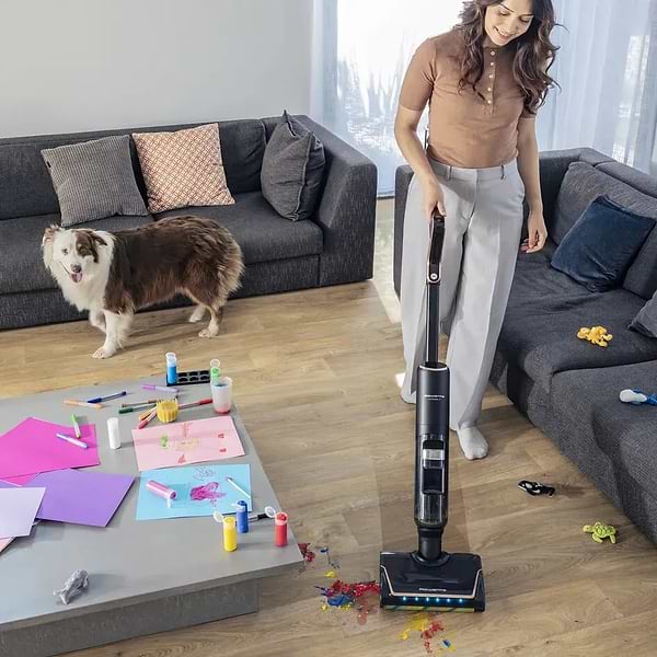 Фото - Пилосос ручний миючий Rowenta GZ5736E0