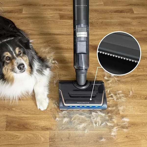 Фото - Пилосос ручний миючий Rowenta GZ5736E0