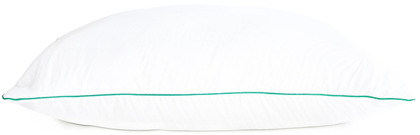 Фото - Подушка стандартная MirSon №2751 Royal Aloe Vera с Эвкалиптом 50х70 см (2200005198292)