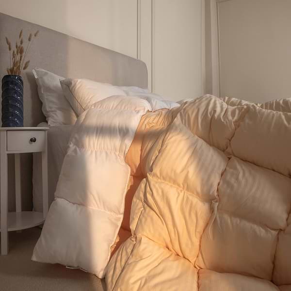 Фото - Одеяло зимнее двуспальное евро MirSon пуховое Carmela 035 200x220 см (2200000003720)