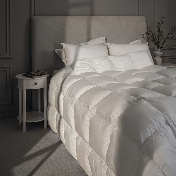 Фото - Одеяло всесезонное двуспальное евро MirSon Raffaello 050 200х220 см (2200000005687)