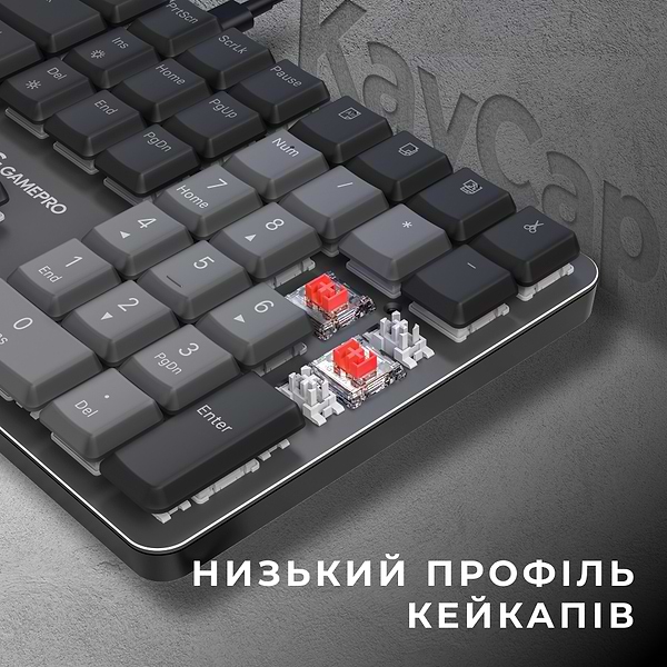 Фото - Клавиатура проводная игровая GamePro Red Switch Low Profile Dark Gray (MK145R)