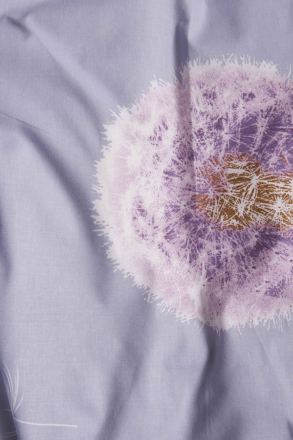 Фото - Комплект постельного белья Moon&Star Бязь Gold Люкс Dandelion Dreams 175х210 нав. 2х50х70 (MS-820005571)