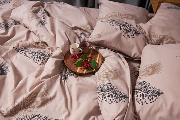 Фото - Комплект постільної білизни Moon&Star Бязь Gold Люкс «Feathers» 160х220х2 нав. 4х50х70 (MS-820004373)