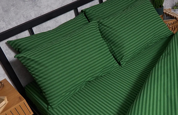 Фото - Наволочка Moon&Star Бязь Gold Люкс Juniper 50х70 2 шт. (MS-840000243)